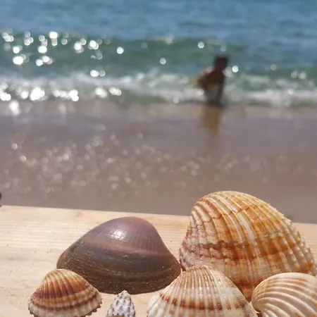 Sweet With Spectacular Sea View Apartament
